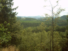 Blick in Richtung Hinterhermsdorf