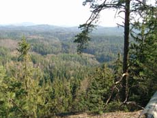 Blick über die Wälder des Kirnitzschtals