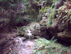 Stiegenanfang