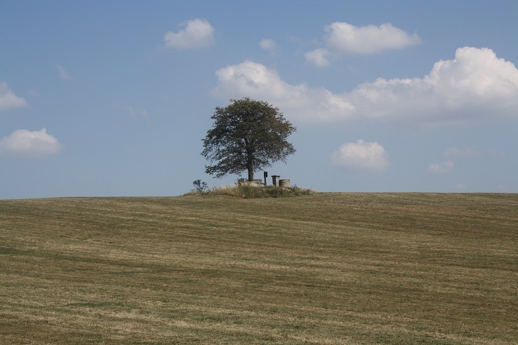 Blick auf den AP