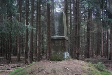 Die Vermessungssäule steht auf einer Schneise im Wald.