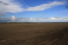 Blick über das Feld neben der Säule.